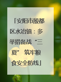 安阳市殷都区水冶镇：多举措备战“三夏” 筑牢粮食安全防线