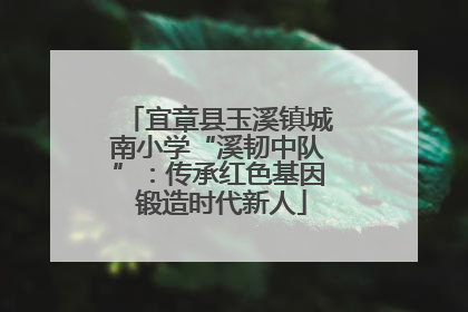 宜章县玉溪镇城南小学“溪韧中队”：传承红色基因 锻造时代新人