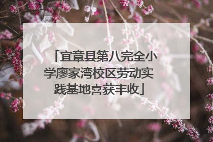 宜章县第八完全小学廖家湾校区劳动实践基地喜获丰收