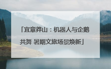 宜章莽山：机器人与企鹅共舞 暑期文旅场景焕新