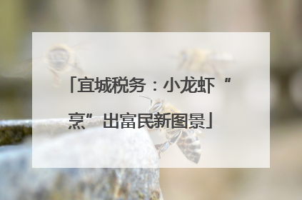 宜城税务：小龙虾“烹”出富民新图景