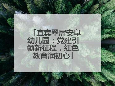 宜宾翠屏安阜幼儿园：党建引领新征程，红色教育润初心
