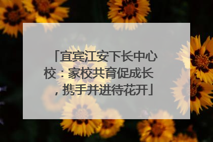 宜宾江安下长中心校：家校共育促成长，携手并进待花开