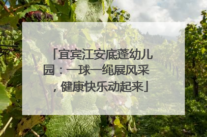 宜宾江安底蓬幼儿园：一球一绳展风采，健康快乐动起来