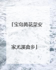宝岛黄花菜安家尤溪畲乡