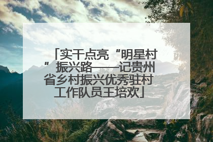 实干点亮“明星村”振兴路——记贵州省乡村振兴优秀驻村工作队员王培欢