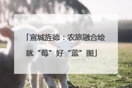 宣城旌德：农旅融合绘就“莓”好“蓝”图