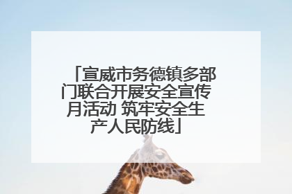 宣威市务德镇多部门联合开展安全宣传月活动 筑牢安全生产人民防线