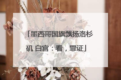 墨西哥国旗飘扬洛杉矶 白宫：看，罪证
