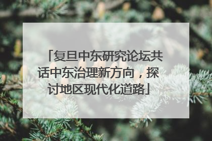 复旦中东研究论坛共话中东治理新方向，探讨地区现代化道路