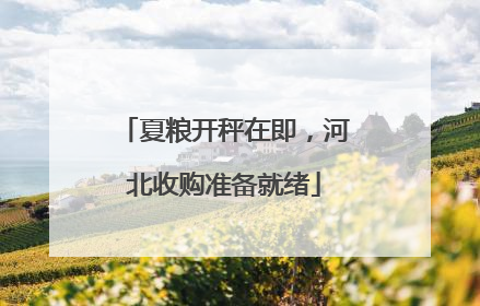 夏粮开秤在即，河北收购准备就绪