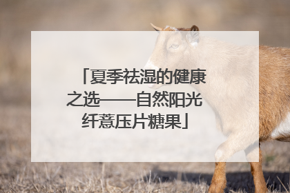 夏季祛湿的健康之选——自然阳光纤薏压片糖果