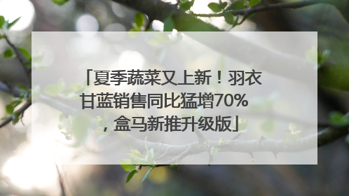 夏季蔬菜又上新！羽衣甘蓝销售同比猛增70%，盒马新推升级版