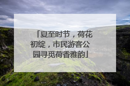 夏至时节，荷花初绽，市民游客公园寻觅荷香雅韵