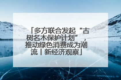 多方联合发起“古树名木保护计划”，推动绿色消费成为潮流丨新经济观察