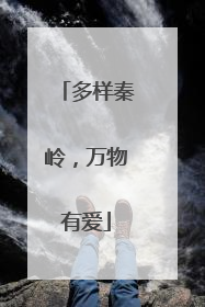 多样秦岭，万物有爱