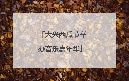 大兴西瓜节举办音乐嘉年华