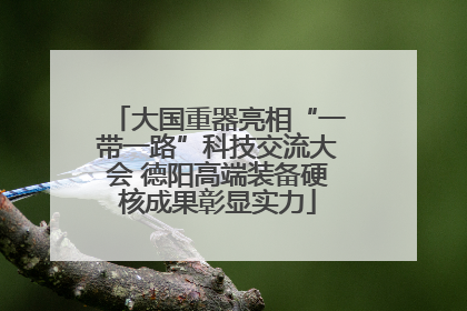 大国重器亮相“一带一路”科技交流大会 德阳高端装备硬核成果彰显实力