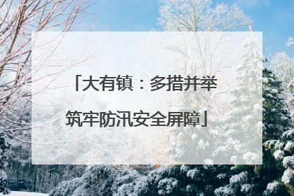 大有镇：多措并举筑牢防汛安全屏障