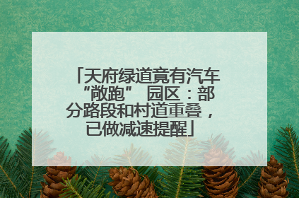 天府绿道竟有汽车“敞跑” 园区：部分路段和村道重叠，已做减速提醒