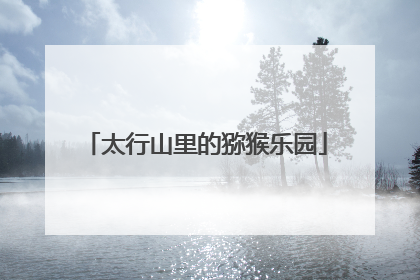 太行山里的猕猴乐园