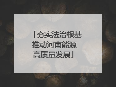 夯实法治根基 推动河南能源高质量发展