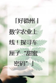 好德州丨数字农业上线！探寻车厘子“甜蜜密码”