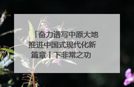 奋力谱写中原大地推进中国式现代化新篇章丨下非常之功 战非常“三夏”