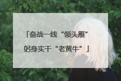 奋战一线“领头雁” 躬身实干“老黄牛”