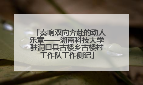 奏响双向奔赴的动人乐章——湖南科技大学驻洞口县古楼乡古楼村工作队工作侧记