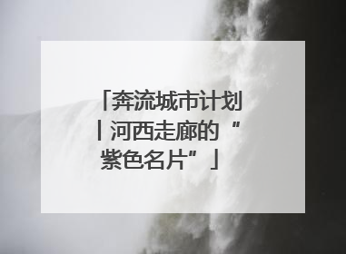 奔流城市计划丨河西走廊的“紫色名片”