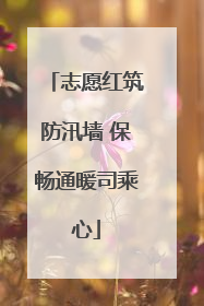 志愿红筑防汛墙 保畅通暖司乘心