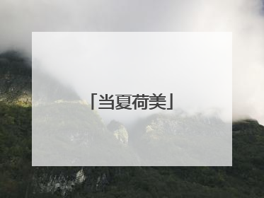 当夏荷美