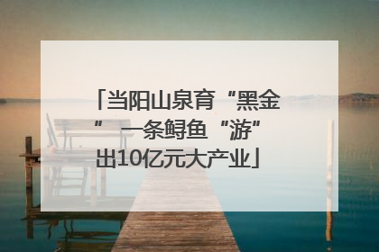 当阳山泉育“黑金” 一条鲟鱼“游”出10亿元大产业