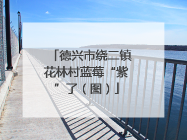 德兴市绕二镇花林村蓝莓“紫”了（图）