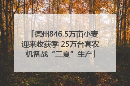 德州846.5万亩小麦迎来收获季 25万台套农机备战“三夏”生产