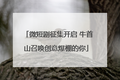 微短剧征集开启 牛首山召唤创意爆棚的你