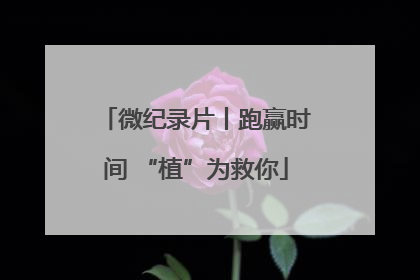 微纪录片丨跑赢时间 “植”为救你