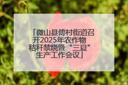微山县傅村街道召开2025年农作物秸秆禁烧暨“三夏”生产工作会议