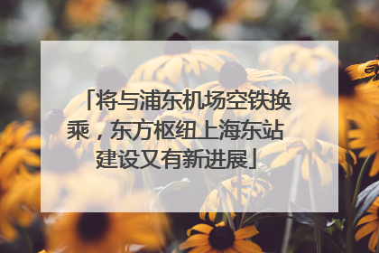 将与浦东机场空铁换乘，东方枢纽上海东站建设又有新进展