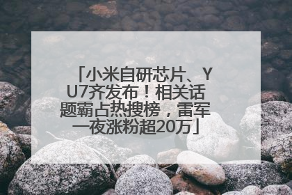 小米自研芯片、YU7齐发布！相关话题霸占热搜榜，雷军一夜涨粉超20万