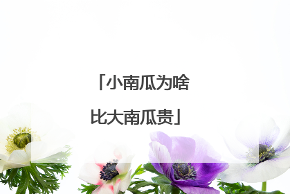 小南瓜为啥比大南瓜贵