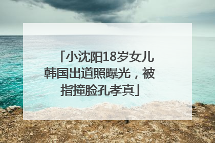 小沈阳18岁女儿韩国出道照曝光，被指撞脸孔孝真