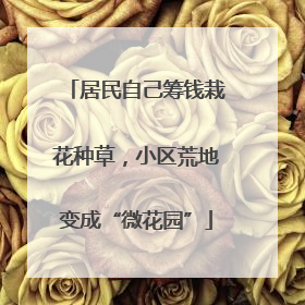 居民自己筹钱栽花种草，小区荒地变成“微花园”