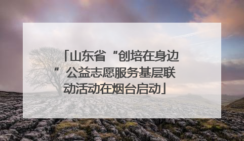山东省“创培在身边”公益志愿服务基层联动活动在烟台启动