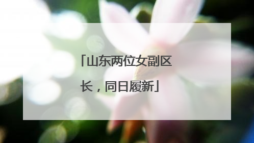 山东两位女副区长，同日履新