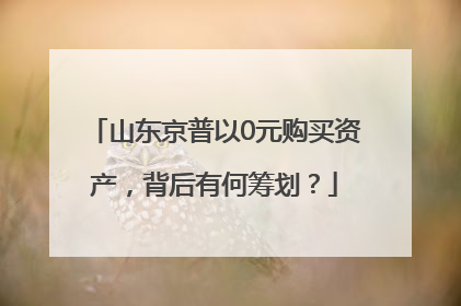 山东京普以0元购买资产，背后有何筹划？