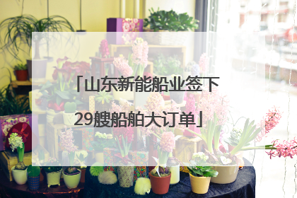 山东新能船业签下29艘船舶大订单