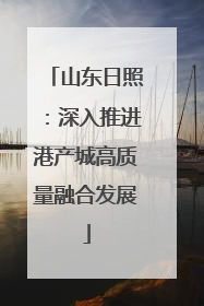 山东日照：深入推进港产城高质量融合发展
