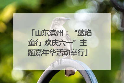 山东滨州：“蓝焰童行 欢庆六一”主题嘉年华活动举行